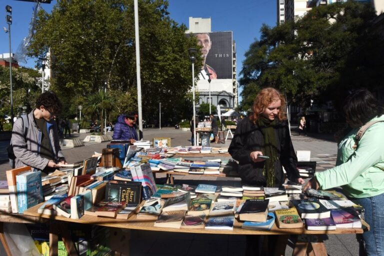 Libros escolares usados ofrece abaratar gastos