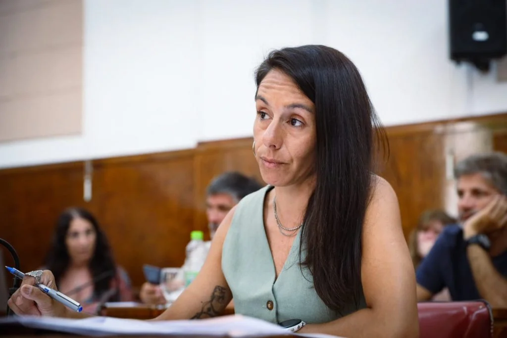 Piden información sobre las fuerzas federales que prometió el Gobierno