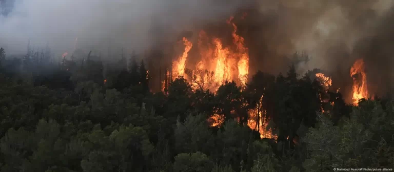 Israel en alerta por incendios en Jerusalén