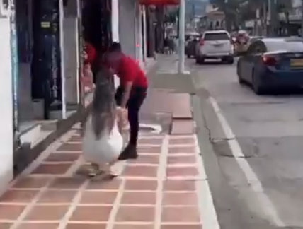 Colombia: el novio la sorprendió en un hotel alojamiento con su amante; ella salió en sábanas a la calle pidiéndole perdón