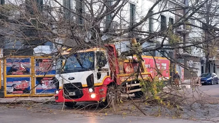 Árbol se desplomó sobre un camión de contenedores en Rivadavia y España: «Casi me mata»