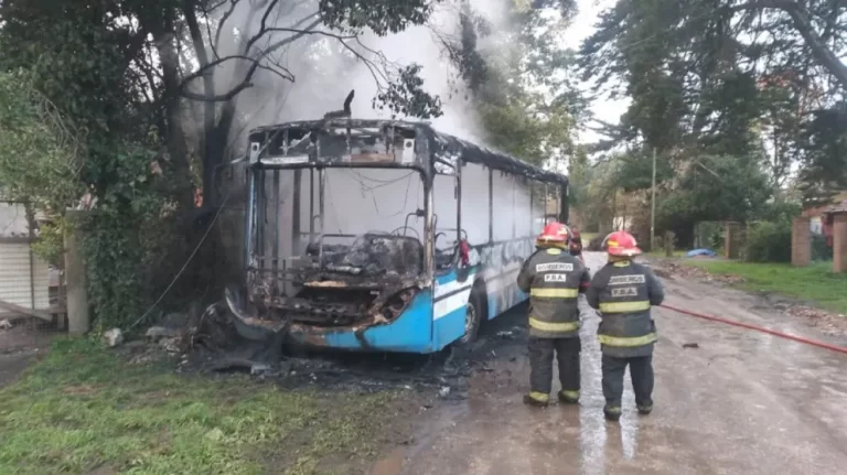 Incendio de colectivo provocó corte de luz y daños en Los Talas y Los Ceibos