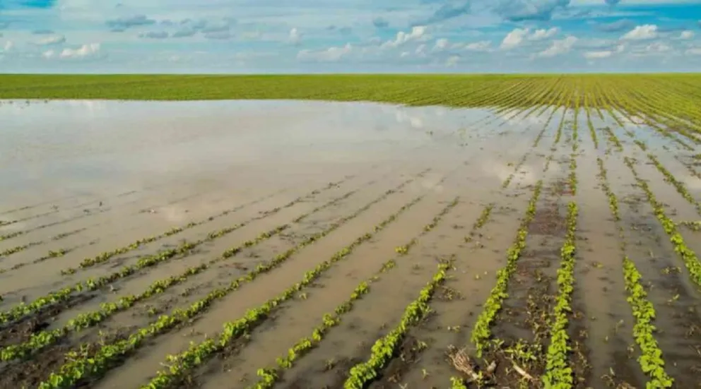 Oficializaron la emergencia agropecuaria en municipios bonaerenses afectados por las inundaciones