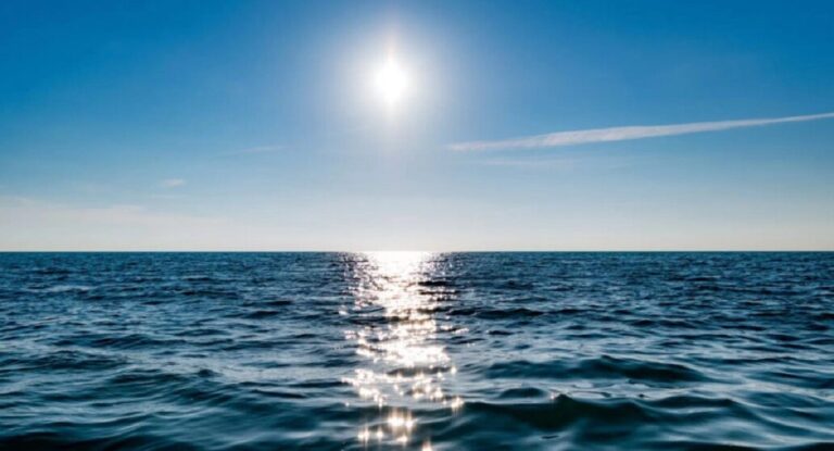 Más del 21% del océano se oscurece: un fenómeno que afectó a los mares en 20 años