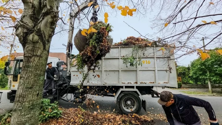 Por el otoño, refuerzan la limpieza en las calles de Mar del Plata