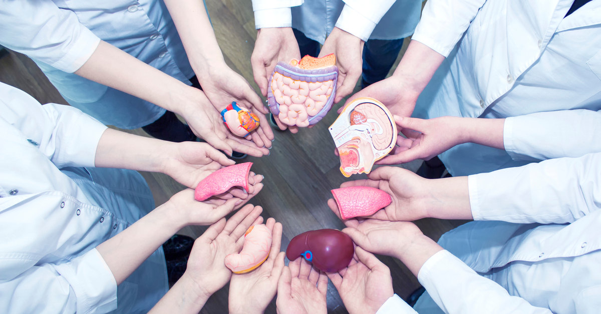 Irlanda convierte a todas las personas en donantes de órganos si no hay oposición