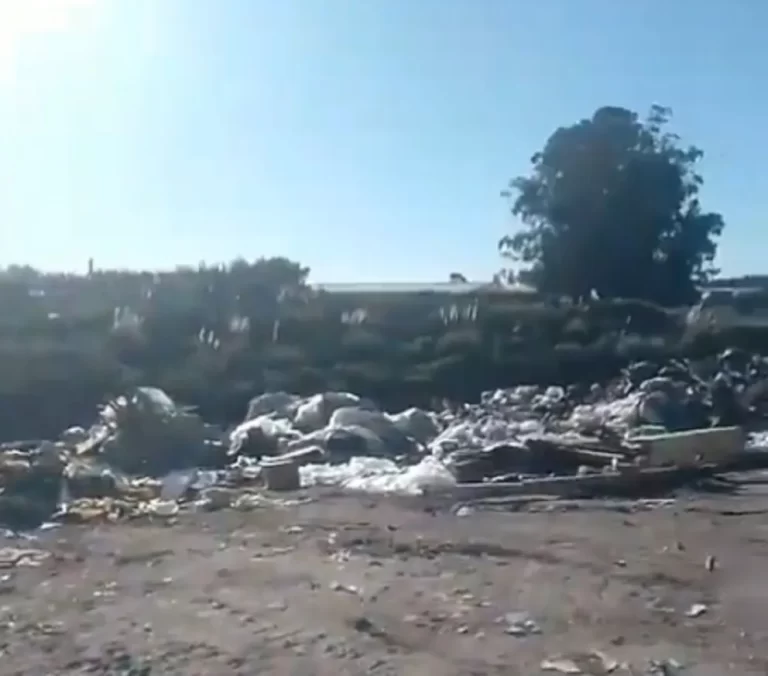 Clausuran recicladora a cielo abierto en Parque Palermo por falta de condiciones sanitarias