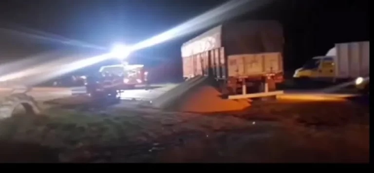 El chofer que provocó la tragedia en la ruta 88 tenía licencia de conducir vencida hace tres años