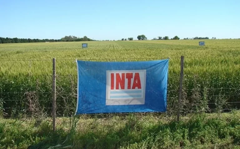 La Mesa de Enlace exige al Gobierno preservar la autonomía del INTA