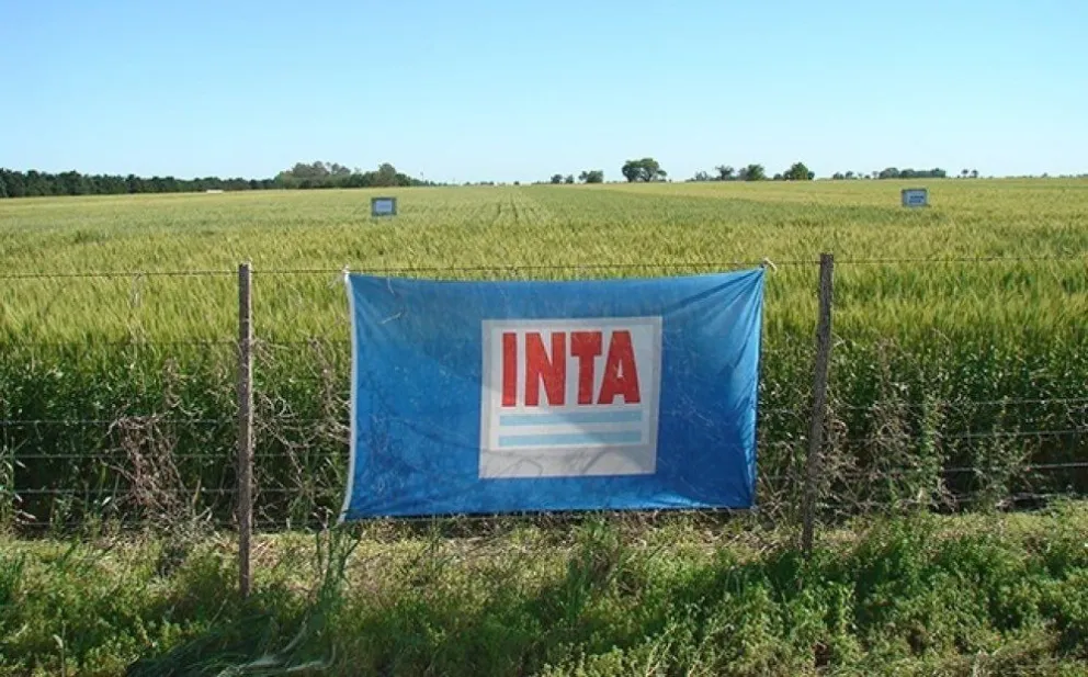 La Mesa de Enlace exige al Gobierno preservar la autonomía del INTA