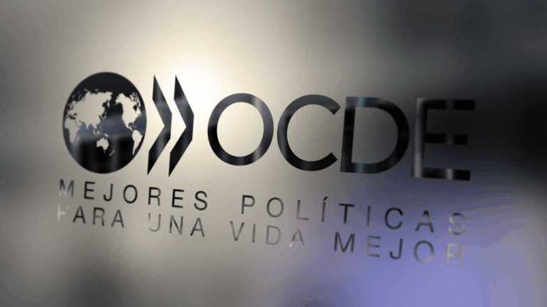 La OCDE advierte riesgos para la industria en el plan económico de Milei