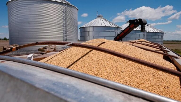 La soja volvió a superar los US$ 400 y refuerza las expectativas por el ingreso de divisas