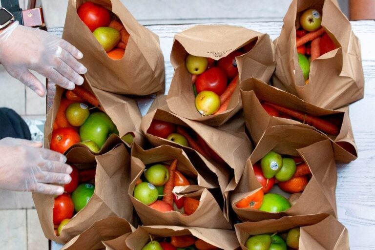 Entretextos: “Vegan Day”, una crónica de Carolina Favini